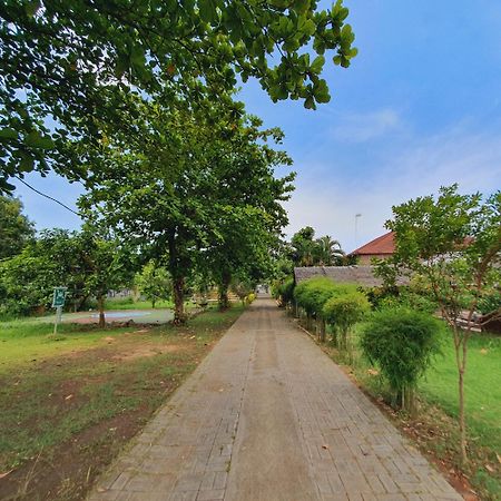 Tengger Guesthouse Pasuruan Exterior photo